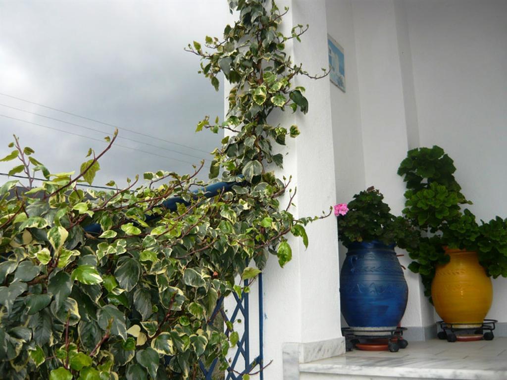 Villa Stegiovana สตาวรอส ภายนอก รูปภาพ